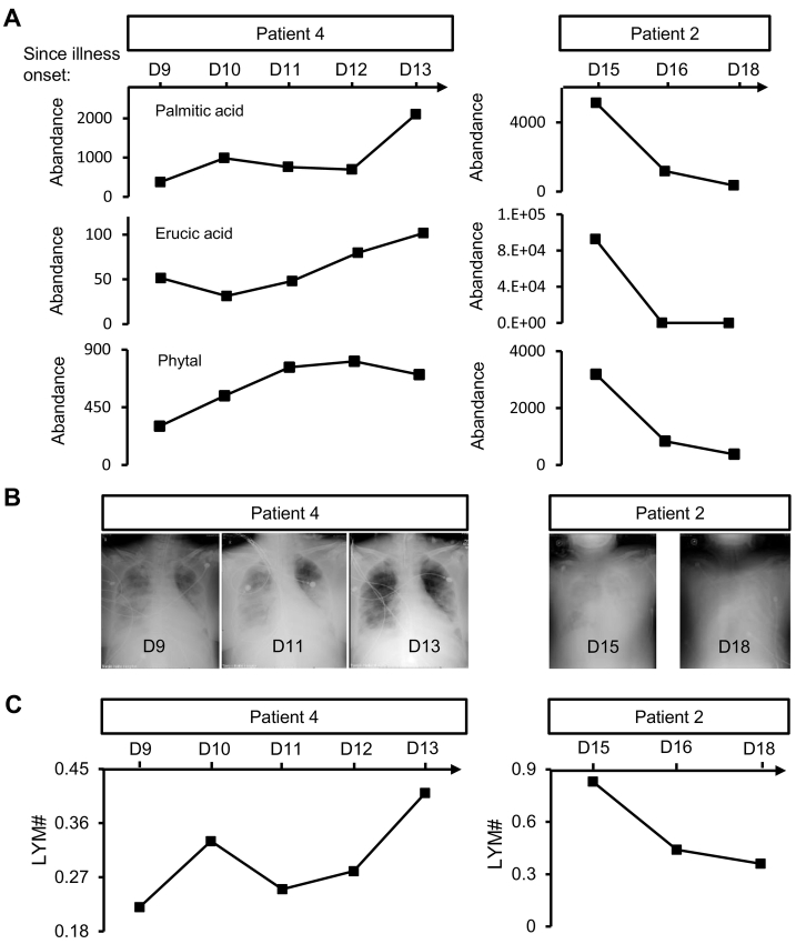 Fig. 6