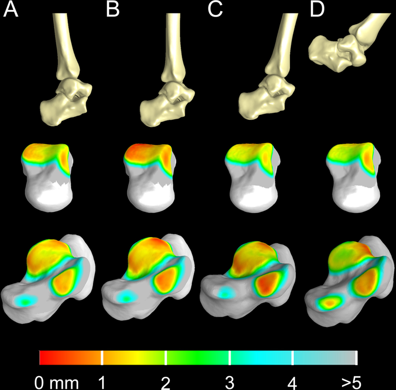 Figure 4: