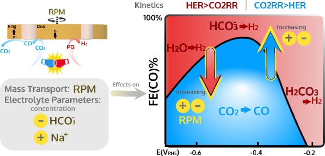 graphic file with name cs1c00272_0009.jpg