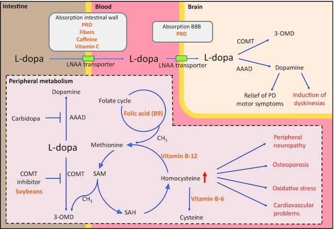 FIGURE 3