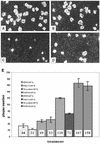 FIG. 4.