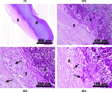 FIG. 6.