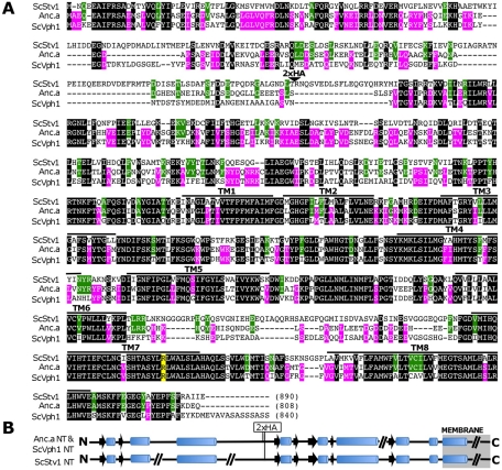 FIGURE 2: