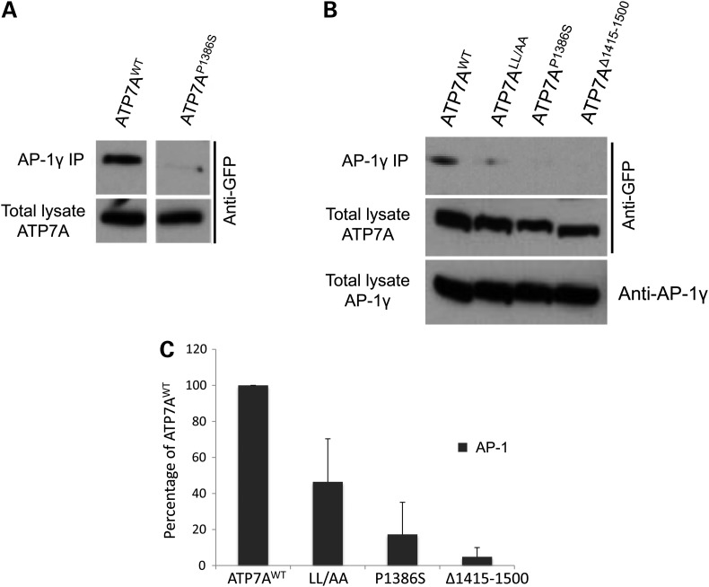 Figure 4.