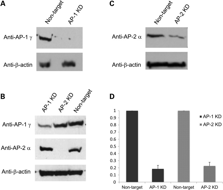 Figure 2.