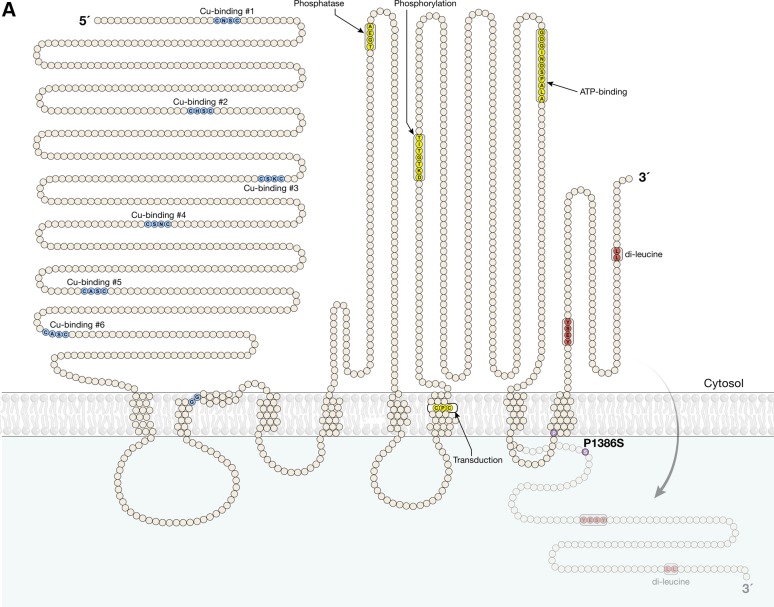 Figure 1.