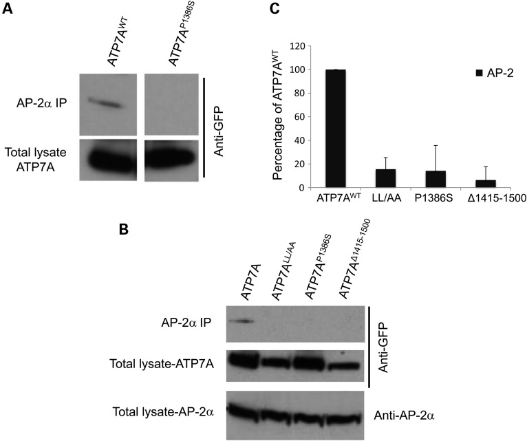 Figure 5.