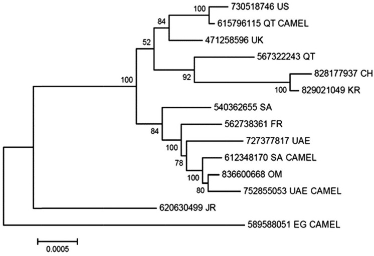 Figure 2