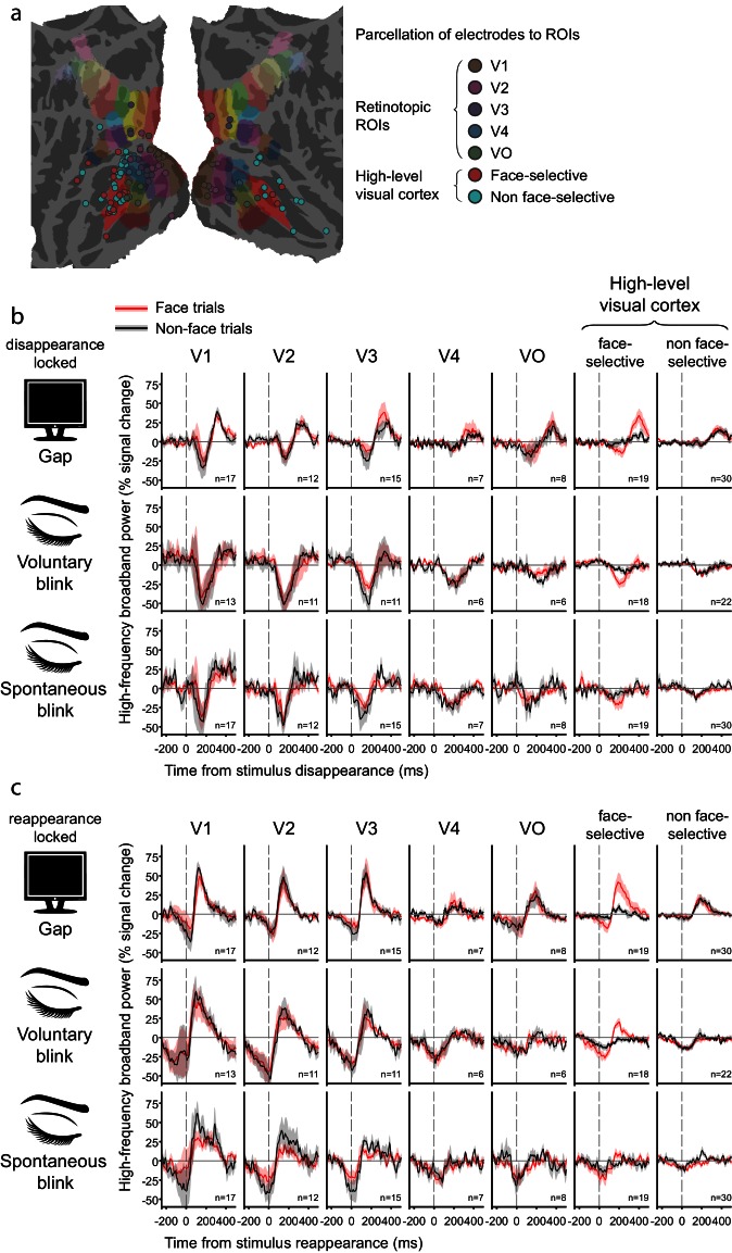 Figure 5—figure supplement 1.