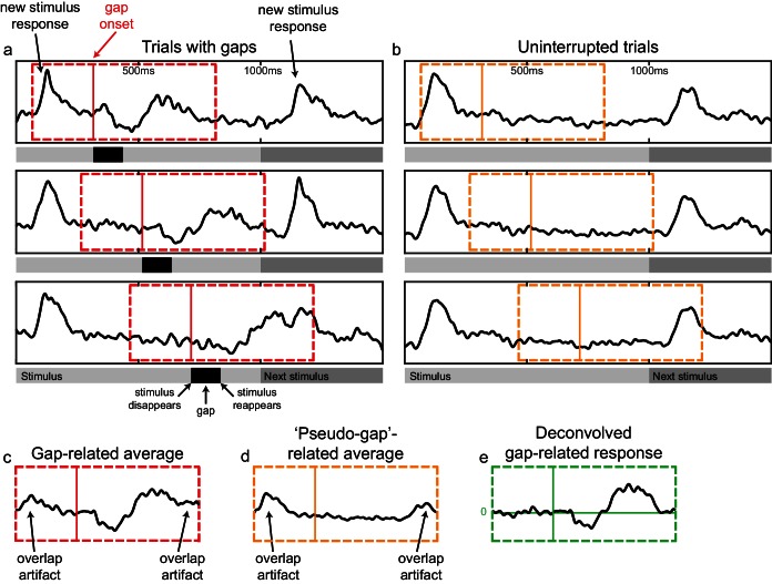 Figure 3—figure supplement 1.