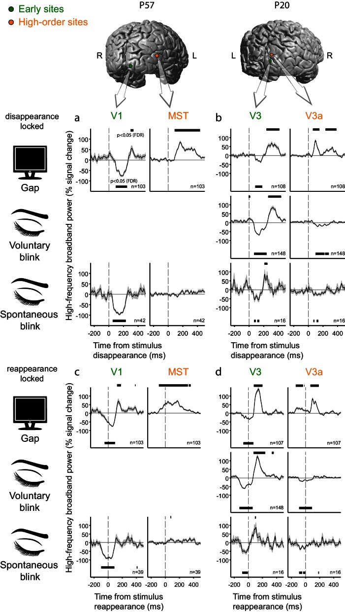 Figure 4—figure supplement 1.