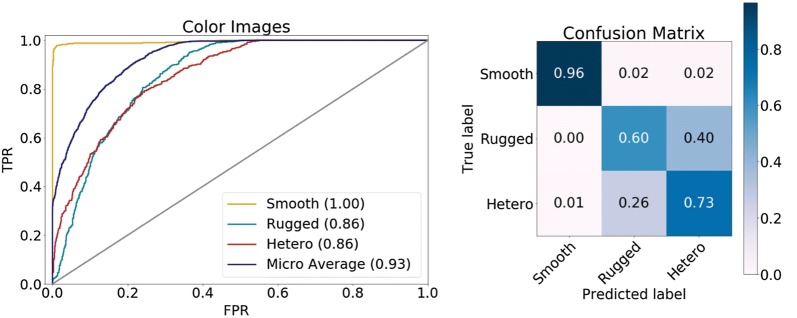 Fig. 4