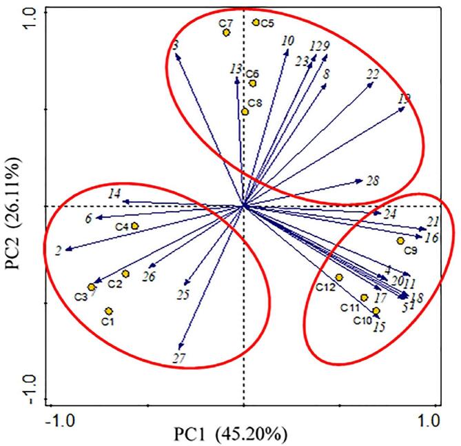 Fig. 3