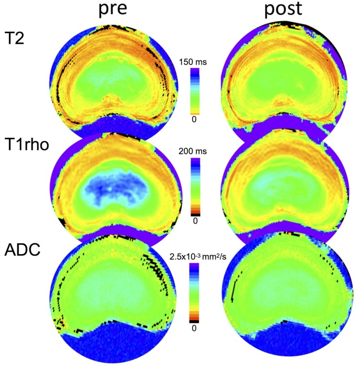 Fig 4