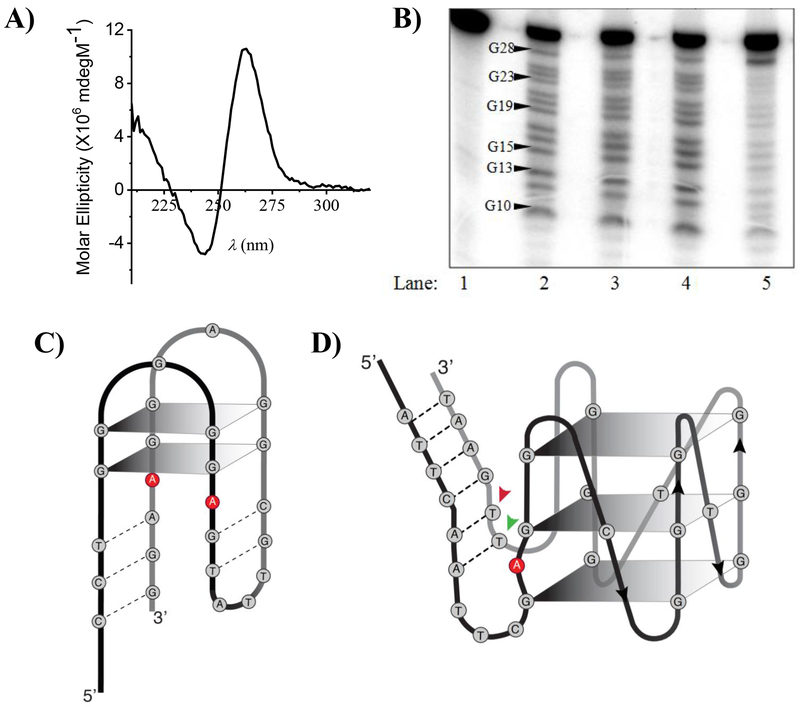 Figure 2: