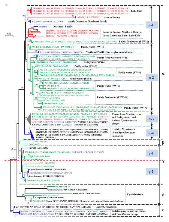 graphic file with name 12250_2015_3673_Fig1_HTML.jpg