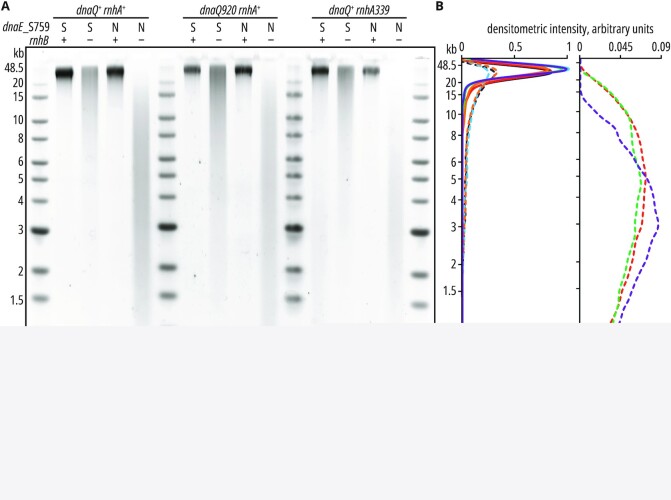 Figure 5.