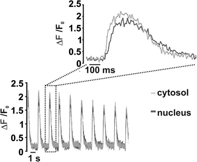 Fig. 3.