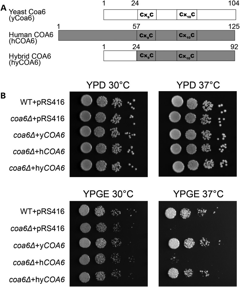 Figure 1.