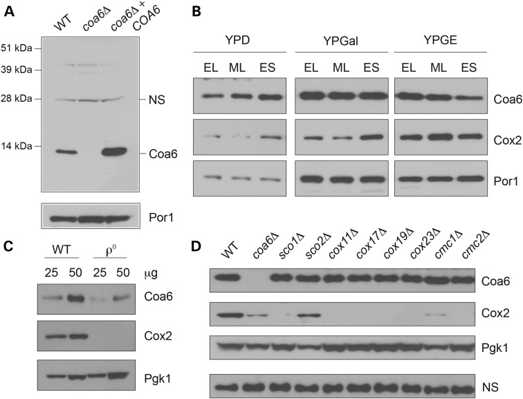 Figure 2.