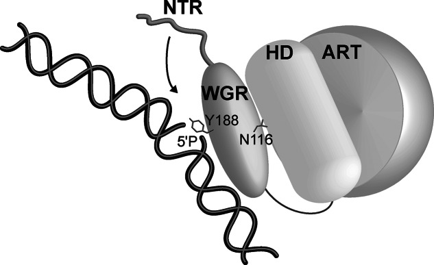 Figure 5.