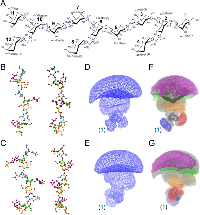 Fig 6