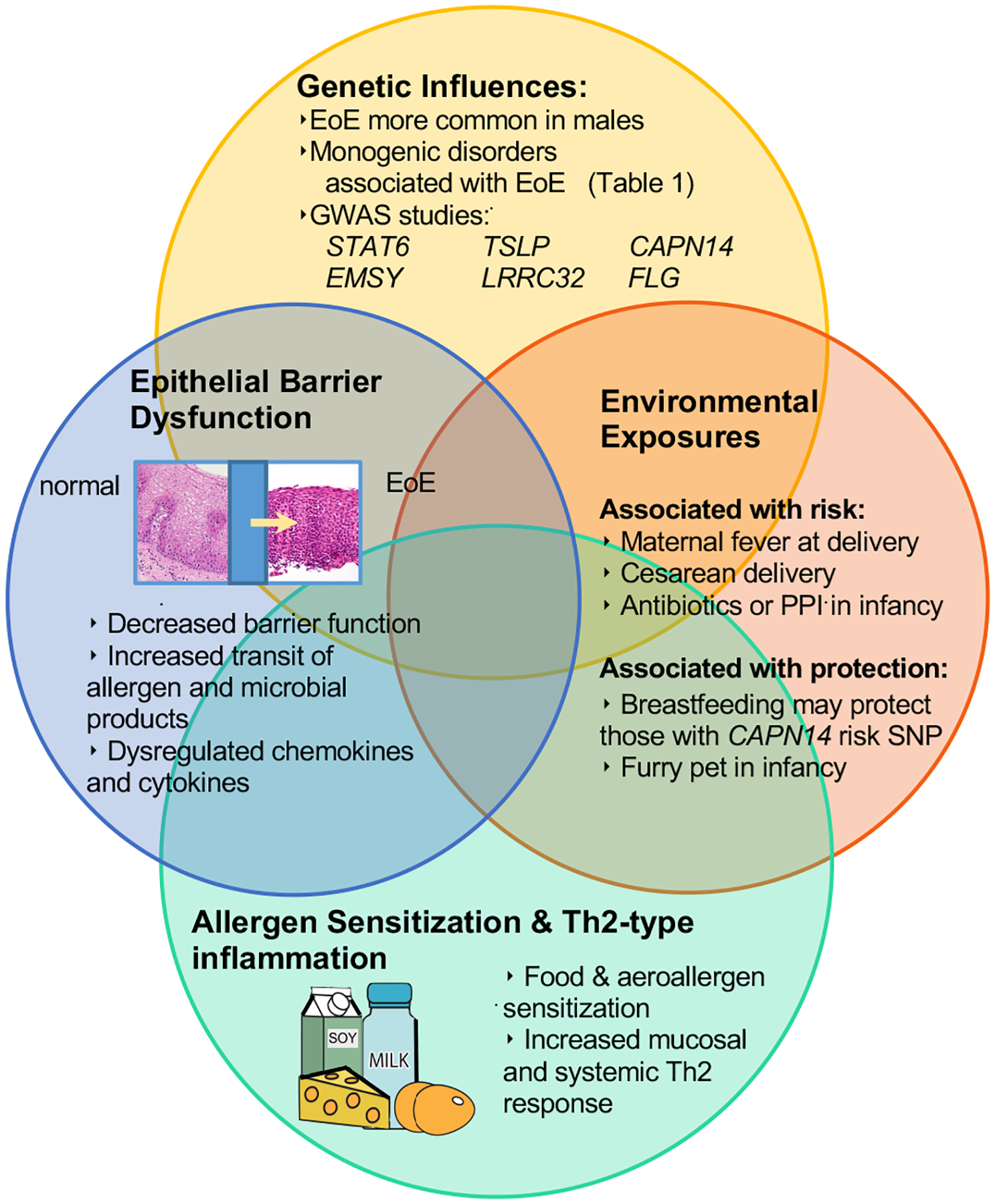 Figure 1: