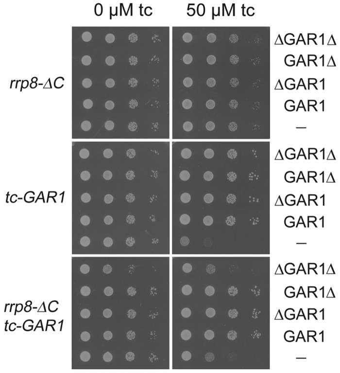 Figure 3.