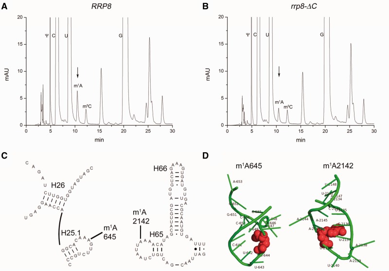 Figure 6.