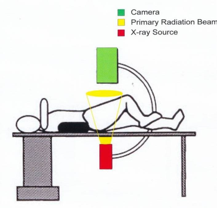 [Table/Fig-6]: