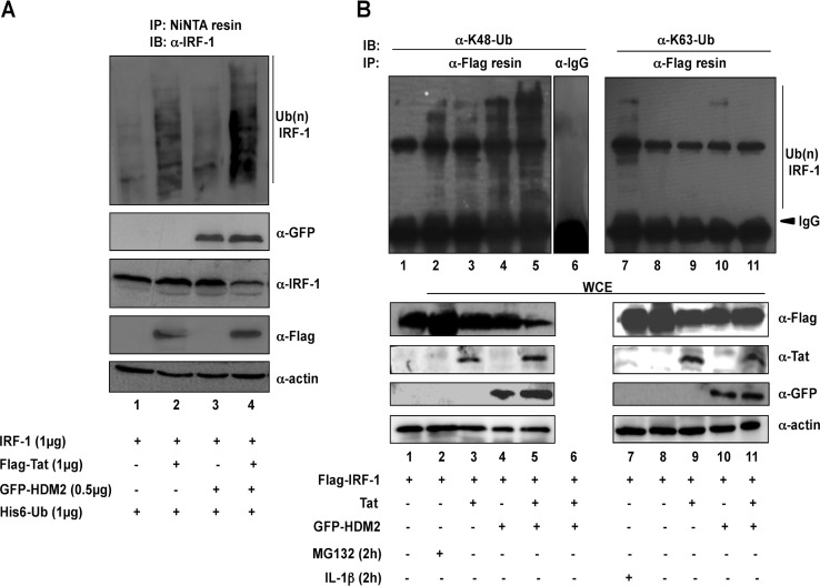 FIG 3 