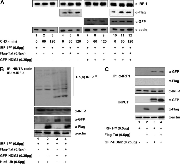 FIG 4 