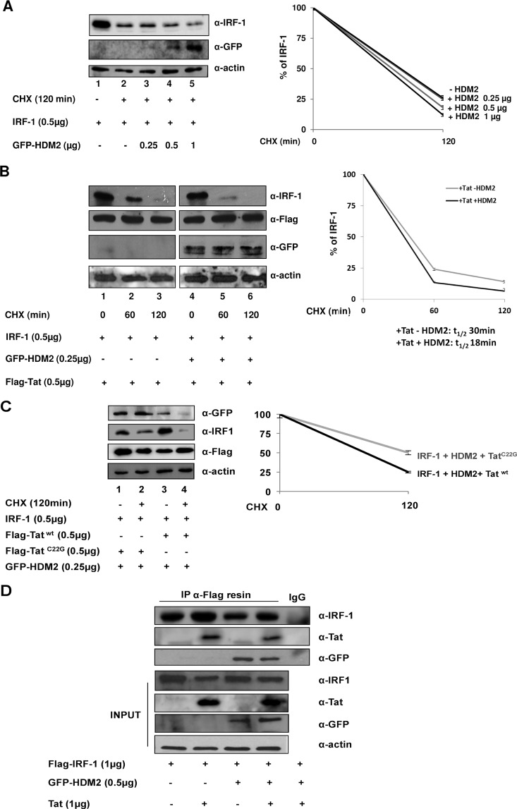 FIG 2 