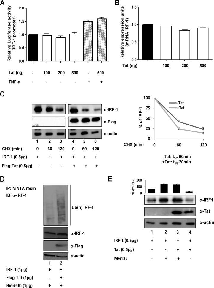 FIG 1 