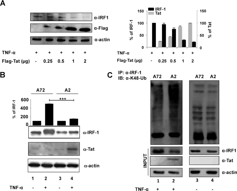 FIG 6 