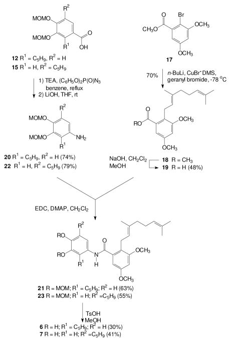 Scheme 2