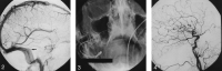 F<sc>ig</sc> 2.