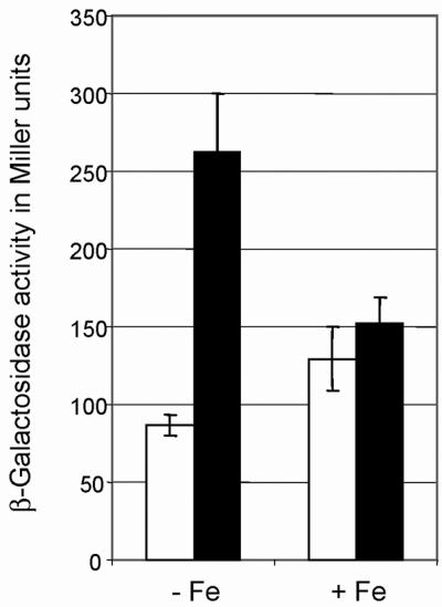 FIG. 5.