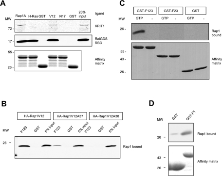 FIGURE 1: