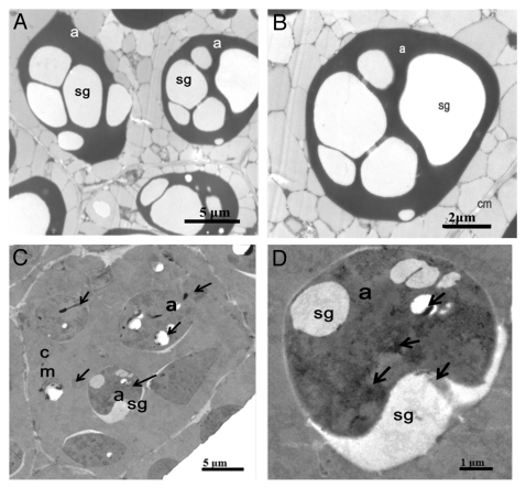 Figure 2.