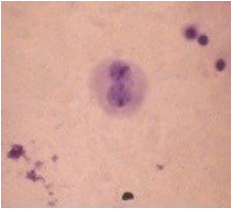 Figure 6.