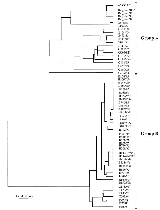 FIG. 1