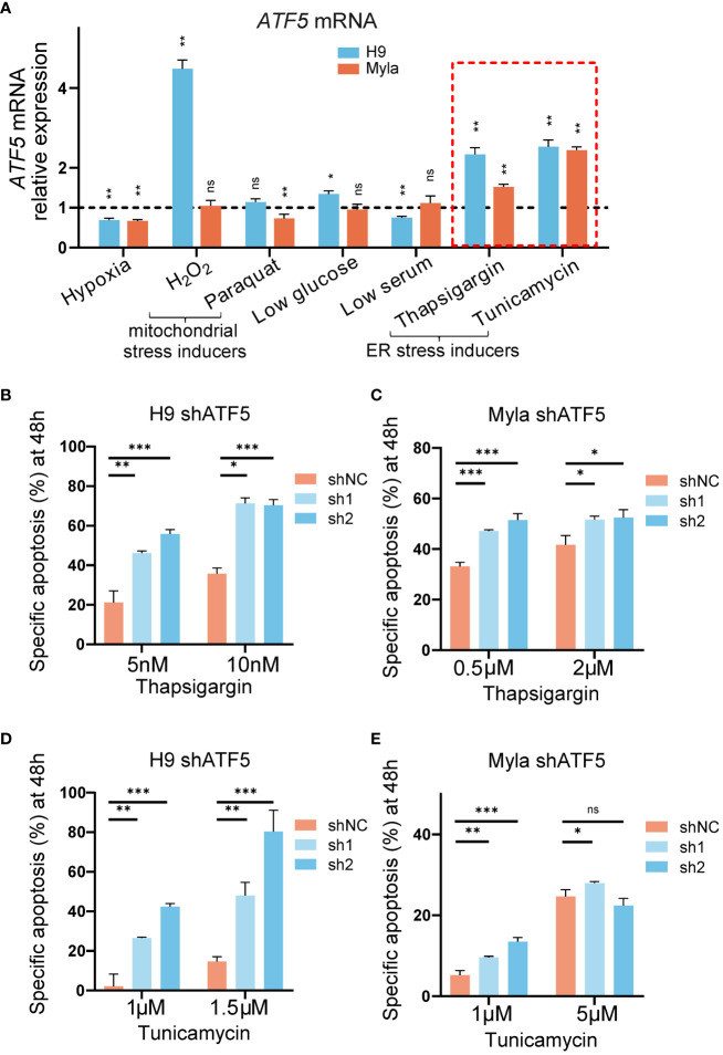 Figure 3