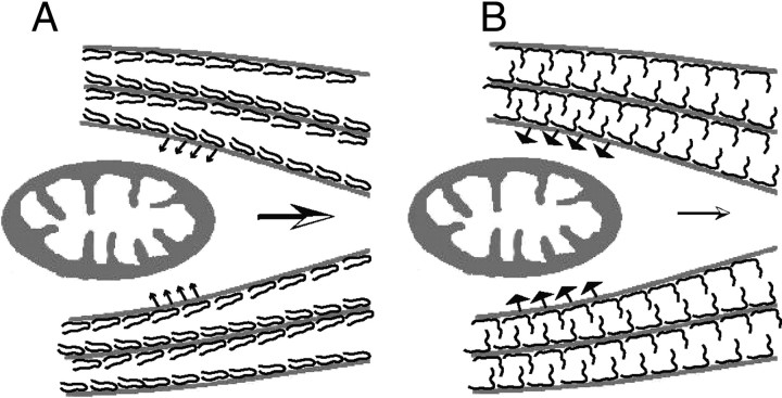 Figure 9.