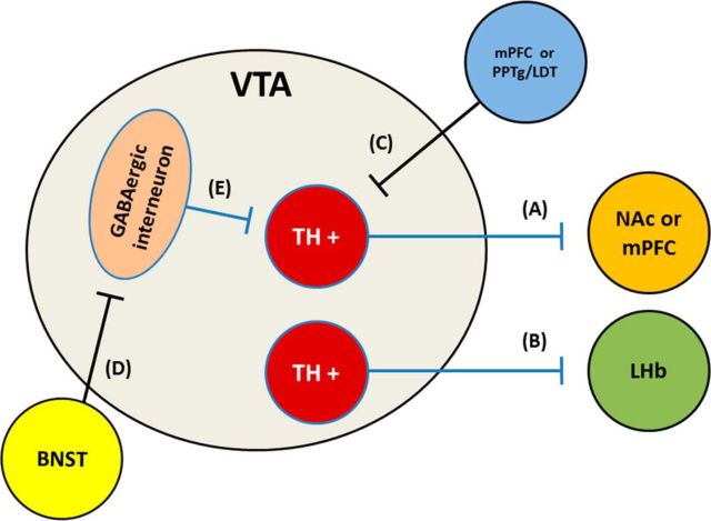 Figure 7.