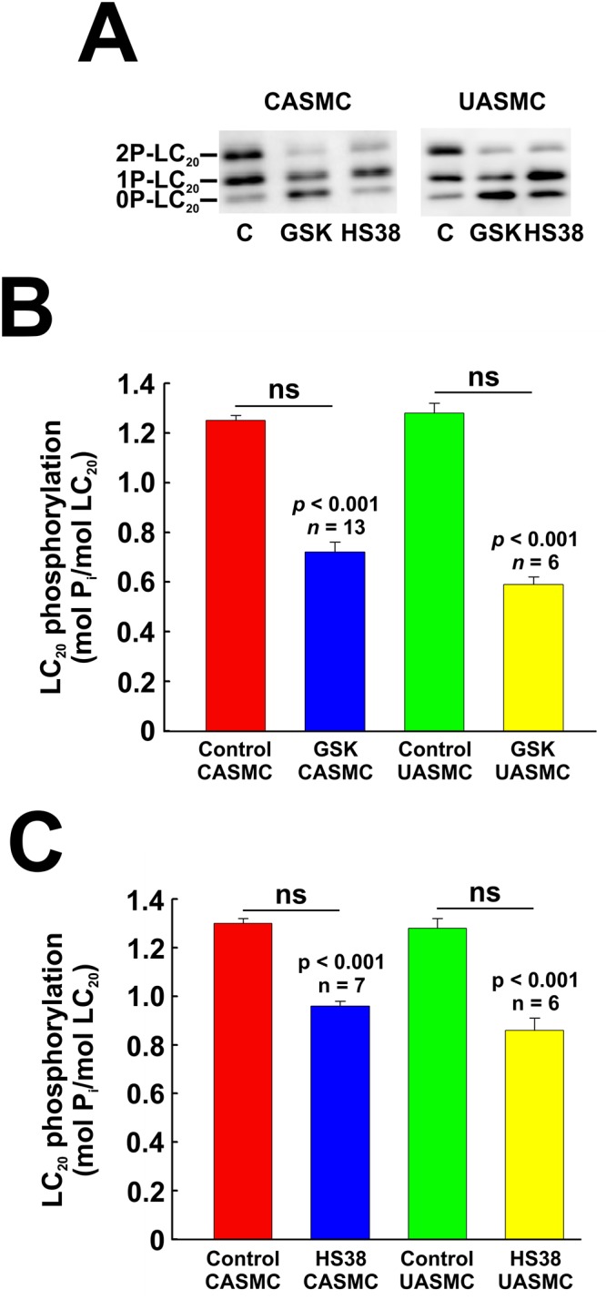 Fig 13