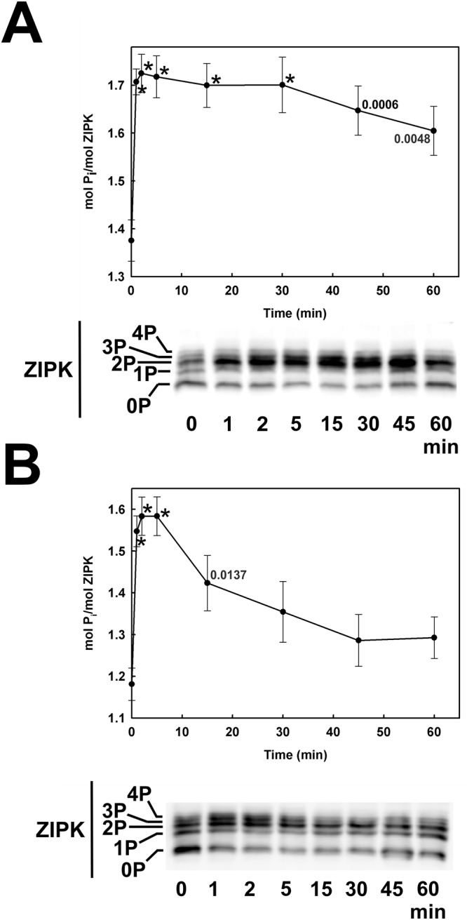 Fig 14