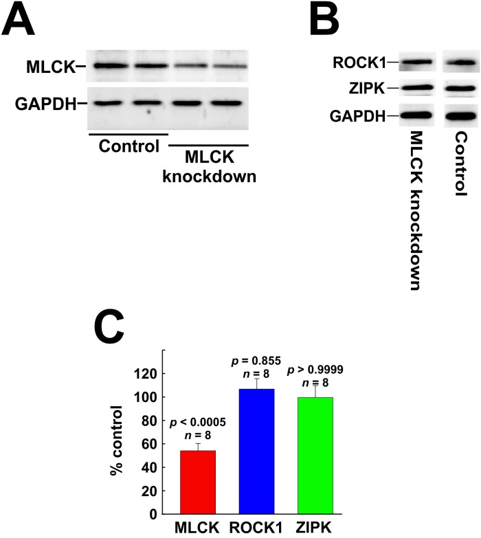 Fig 5