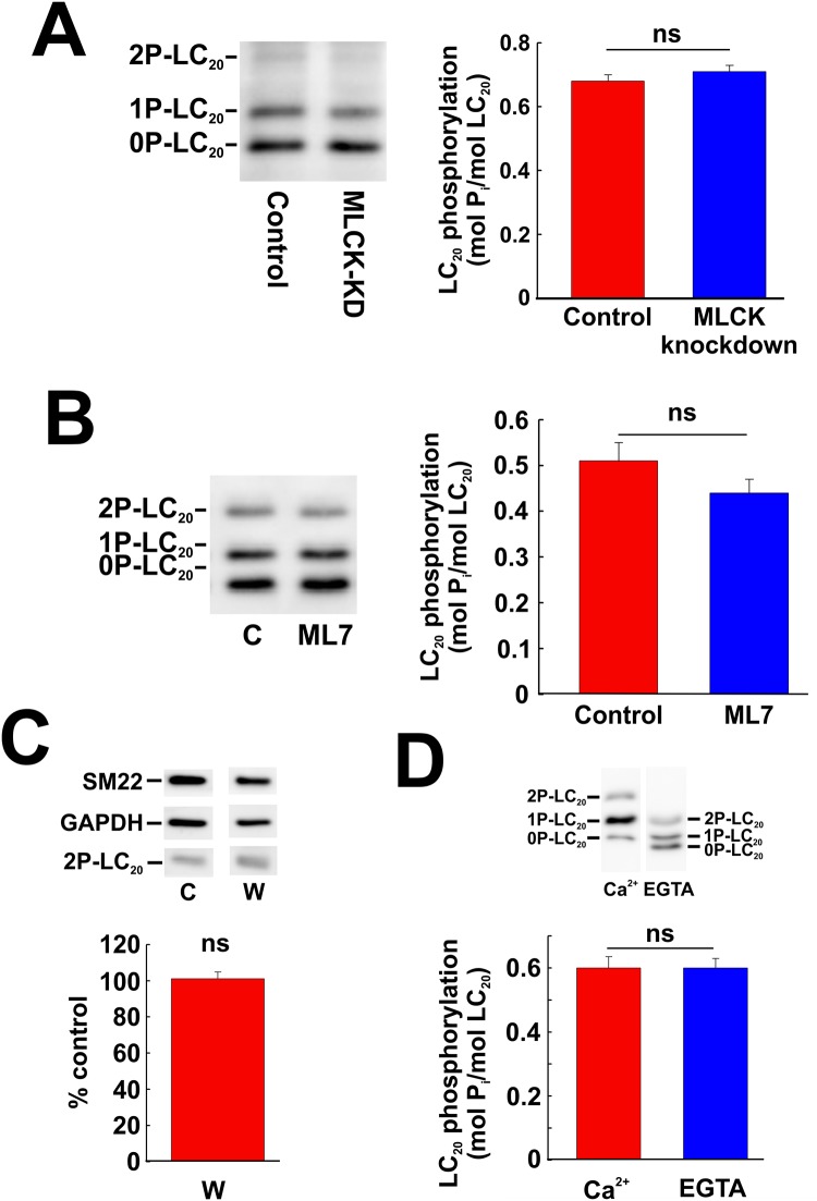 Fig 16