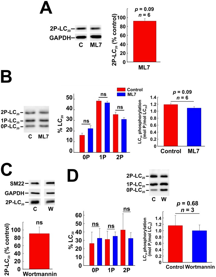 Fig 8